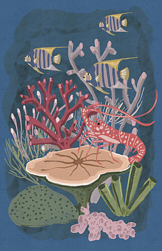 Angelfish and Lobster Reef Art Print by Nicholas