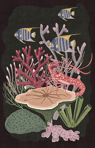 Spiny Lobster Coral Reef Art Print
