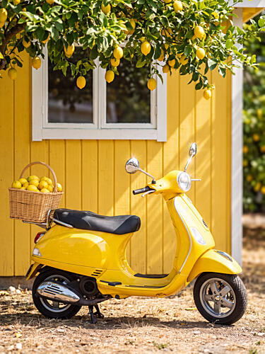 Yellow Scooter Lemons Campagne reproduction