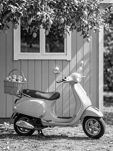 Summer Scooter Lemons Art Print