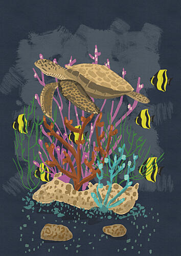 Swimming Turtle Coral Reef Art Print
