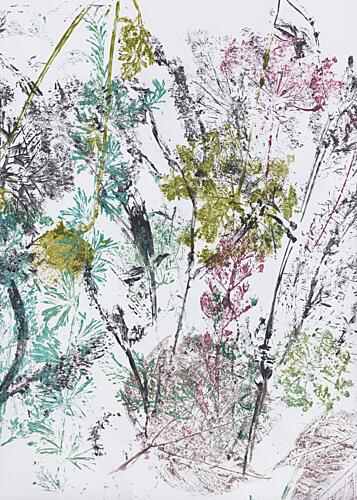 Meadow Herbarium Art Print by Maira Ribena