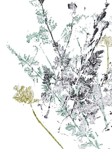Wild Botanical Abstract Art Print