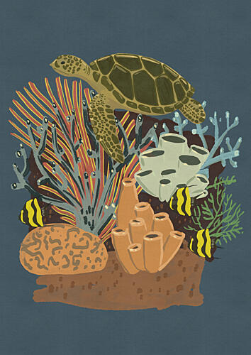 Sea Turtle over Coral Reef Plage reproduction