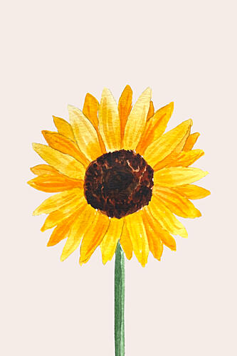Sunny Sunflower Bloom Aquarelle reproduction