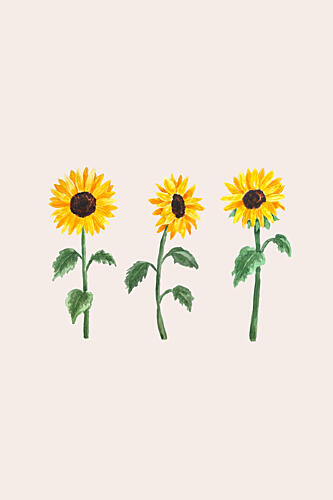 Cheerful Sunflower Trio Art Print by Karen Menzenbach