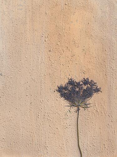 Earthy Flower Texture Art Print by Maira Ribena