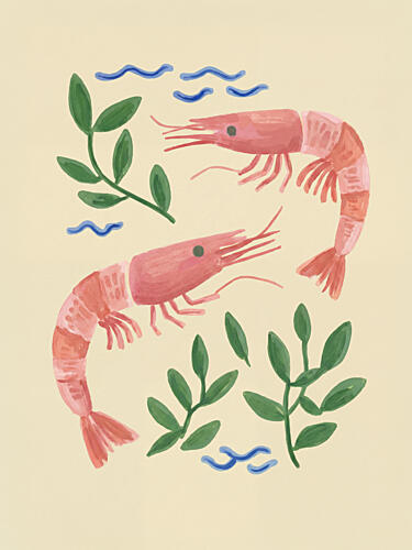 Pink Shrimp Illustration Art Print by Mathieu