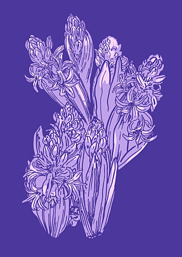 Blooming Purple Hyacinths Art Print by Katariina Kosunen