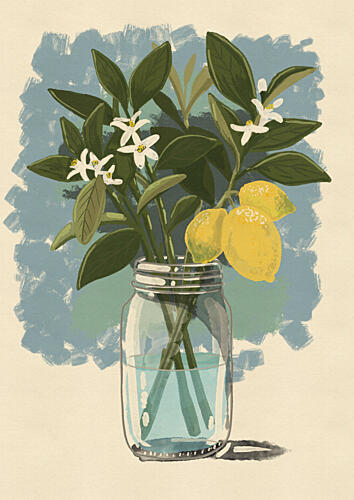 Fresh Lemon Still Life Art Print by Debbie Nicholas
