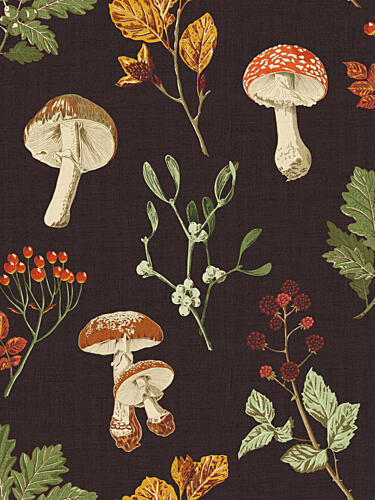 Autumn Forest Forage Illustrations Art Print