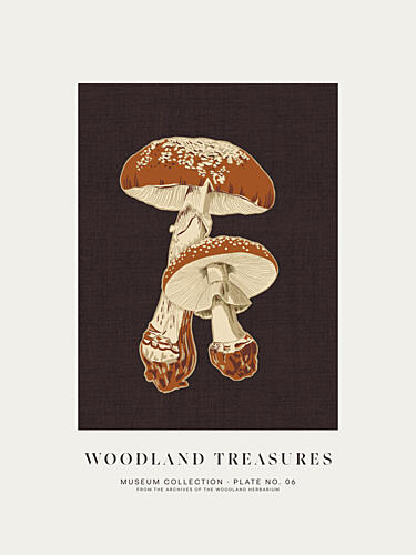 Woodland Treasures Mushrooms Nature reproduction