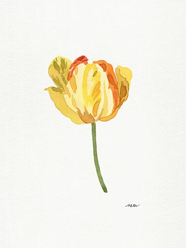 Sunny Yellow Tulip Art Print by Nktn