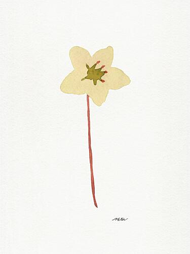 Gentle Watercolor Bloom Art Print by NKTN