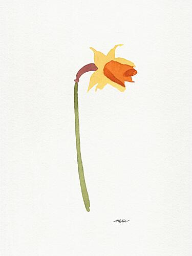 Watercolor Daffodil Art Print by Nktn