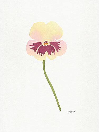 Watercolor Pansy Bloom Art Print by Nktn
