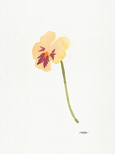 Soft Yellow Pansy Art Print by Nktn