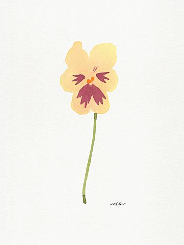 Watercolor Pansy Bloom Art Print by Nktn