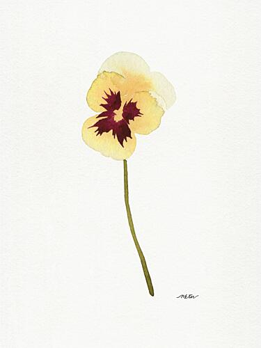 Delicate Yellow Pansy Art Print by Nktn