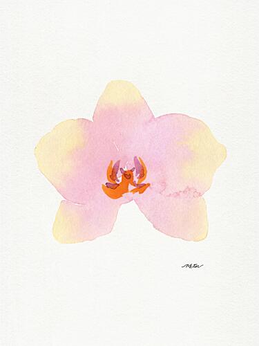 Watercolor Pink Orchid Art Print by Nktn