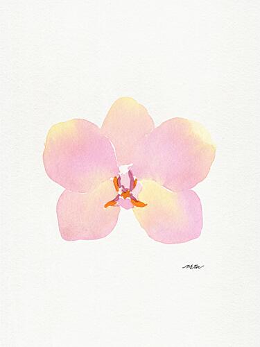 Pink Watercolor Orchid Art Print by NKTN