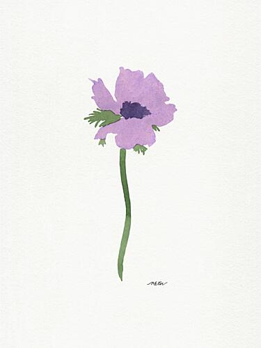 Soft Purple Anemone Art Print by Nktn
