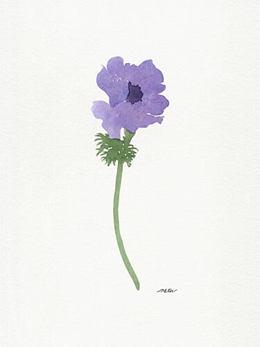Delicate Purple Anemone Art Print by Nktn