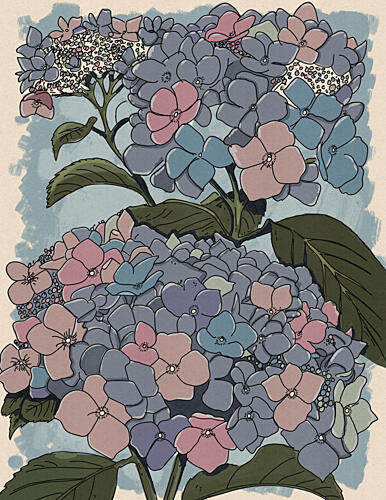 Soft Pastel Hydrangeas Art Print by Nicholas