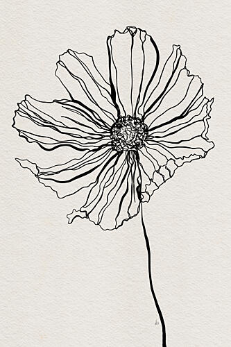 Delicate Line Flower Art Print by Ankie Kooi