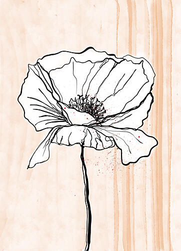 Minimalist Poppy Bloom Aquarelle reproduction