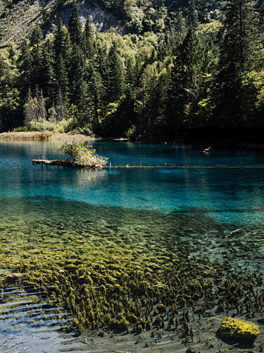 Turquoise Lake Serenity Art Print