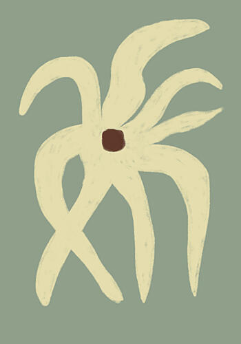 Soft Organic Bloom Art Print by The Art Concept