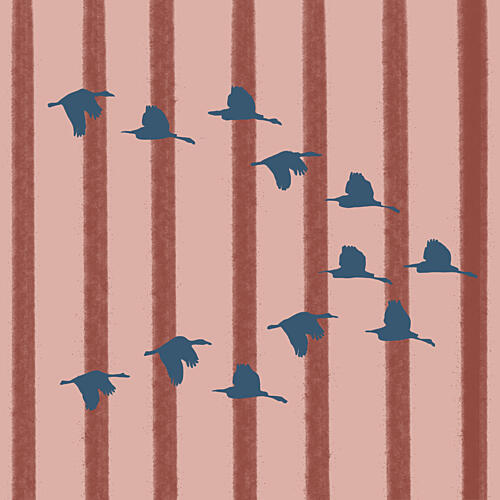 Flying Geese Pattern Animaux reproduction