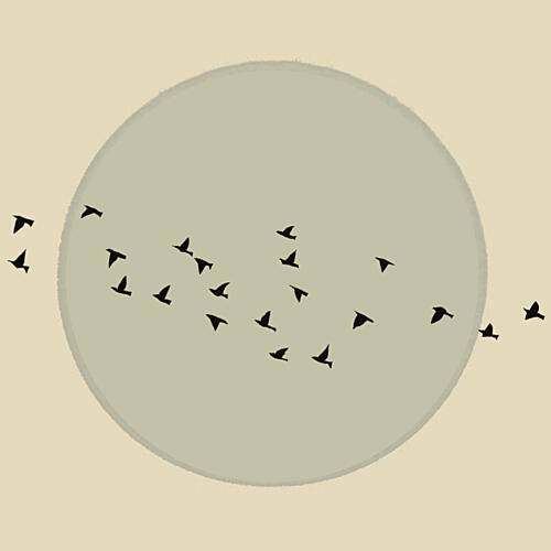 Flock Against the Moon Animaux reproduction