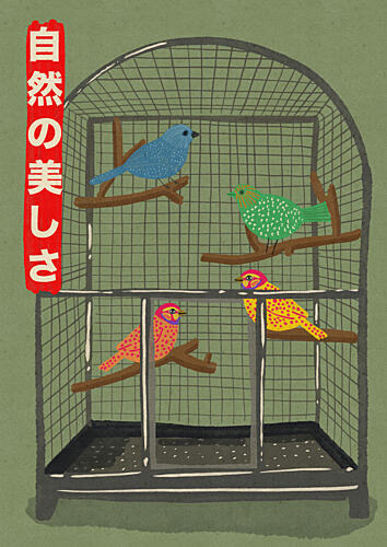 Vibrant Birds in Cage Animaux reproduction