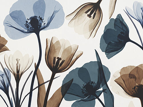 Delicate X-Ray Blooms Minimaliste reproduction