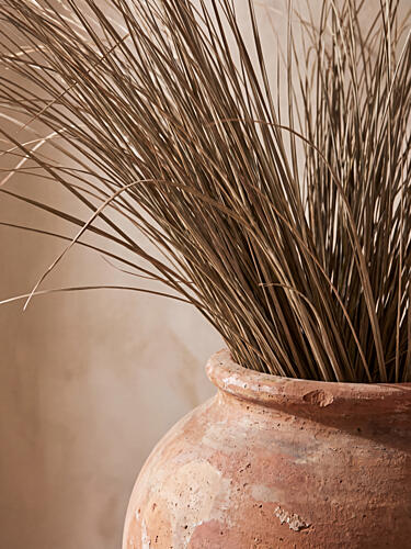 Rustic Terracotta Dry Grass Nature reproduction