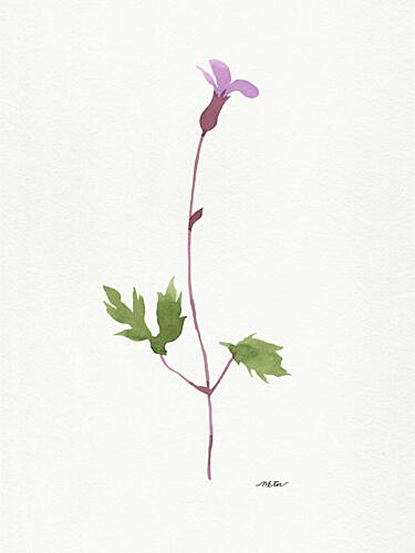 Delicate Purple Bloom Art Print by Nktn