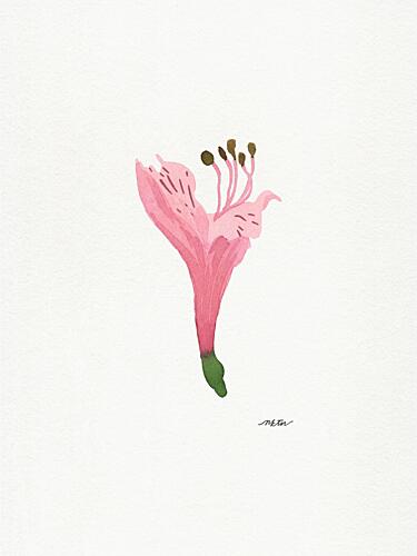 Soft Pink Blossom Art Print by Nktn