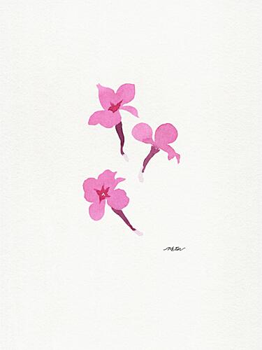 Delicate Pink Flowers Art Print by Nktn