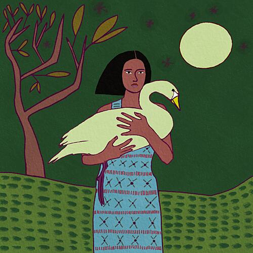Moonlit Woman Swan Animaux reproduction