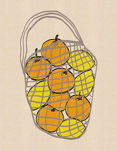 Fresh Citrus Market Bag Alimentation reproduction