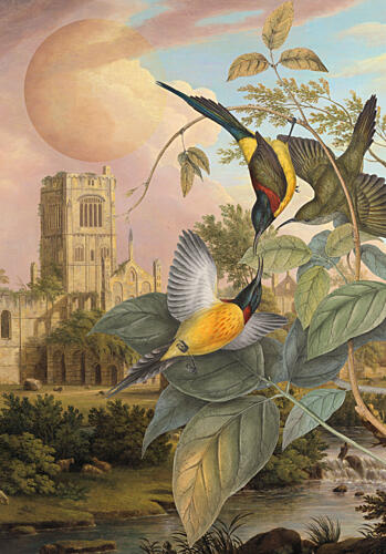 Exotic Birds Pastel Moon Animaux reproduction