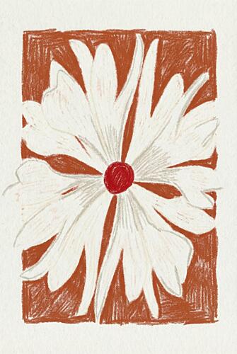 Rustic Daisy Illustration Art Print by Melloi Art Prints