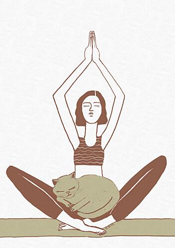 Peaceful Yoga Cat Figuratif reproduction