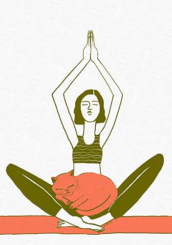 Calm Yoga Cat Figuratif reproduction