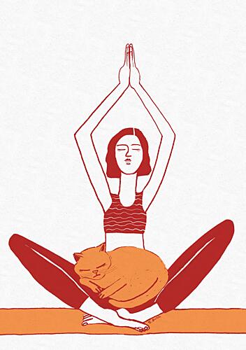 Yoga Cat Meditation Animaux reproduction