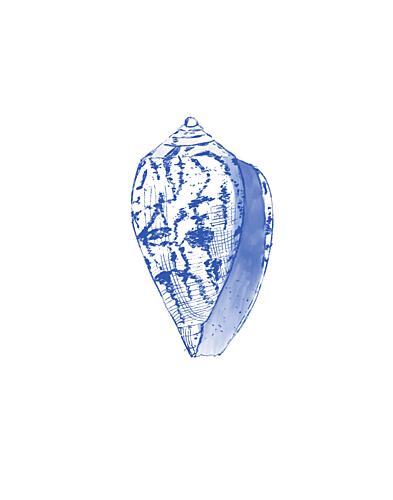 Coastal Blue Seashell Art Print by Vanessa Austin