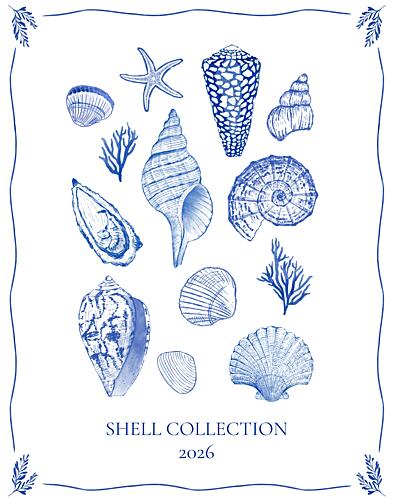 Coastal Shells Gathering Art Print by Vanessa Austin