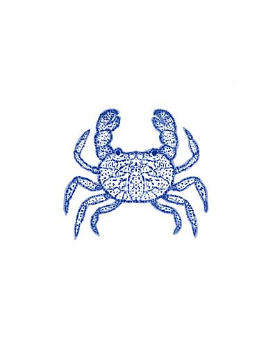 Coastal Blue Crab Art Print by Vanessa Austin